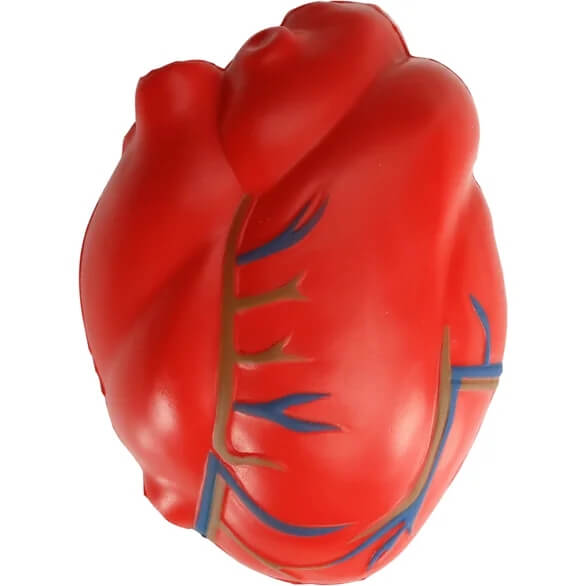 Hearts with Vein Stress Toy