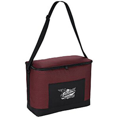 Sawyer Point Picnic Cooler