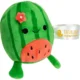 Custom Watermelon Stress Busters