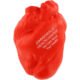 Printed Anatomical Heart Stress Balls