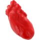 Printed Anatomical Heart Stress Balls