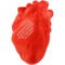 Printed Anatomical Heart Stress Balls