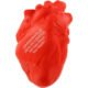 Printed Anatomical Heart Stress Balls