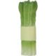 Logo Asparagus Stress Balls