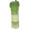 Logo Asparagus Stress Balls