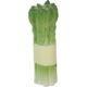 Logo Asparagus Stress Balls