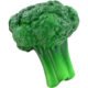 Imprinted Broccoli Stress Toys