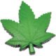 Imprinted Cannabis Leaf Stress Relievers