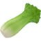 Marketing Celery Stress Balls