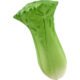 Marketing Celery Stress Balls