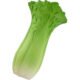 Marketing Celery Stress Balls