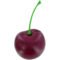 Logo Cherry Stress Toys