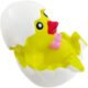 Printed Chickens in Egg Stress Toy