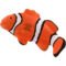 Marketing Clownfish Stress Relievers