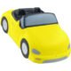 Printed Convertible Car Stress Balls