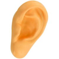 Custom Ear Stress Balls