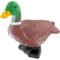 Promotional Field Duck Stress Toys