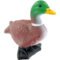 Promotional Field Duck Stress Toys