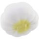 Advertising Garlic Bulb Stress Balls