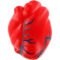 Custom Hearts with Veins Stress Ball
