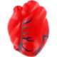 Custom Hearts with Veins Stress Ball