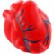 Custom Hearts with Veins Stress Ball