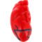Custom Hearts with Veins Stress Ball