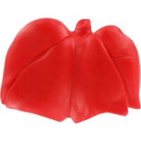 Marketing Lung Stress Relievers