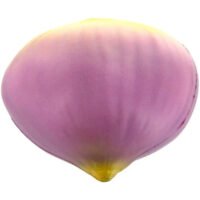 Printed Onion Stress Balls