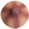 Imprinted Onion Stress Relievers