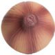 Imprinted Onion Stress Relievers