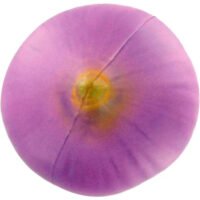 Imprinted Onion Stress Toys