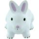 Printed Rabbit Stress Relievers