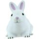 Printed Rabbit Stress Relievers