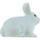 Printed Rabbit Stress Relievers