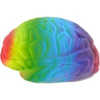 Printed Rainbow Brain Stress Balls