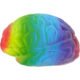Printed Rainbow Brain Stress Balls