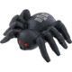 Giveaway Spider Stress Toys