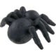 Giveaway Spider Stress Toys
