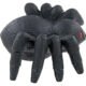 Giveaway Spider Stress Toys