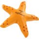 Logo Starfish Stress Balls