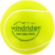 Customized Tennis Ball Stress Toys