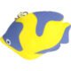 Customized Tropical Fish Keychain Stress Toys