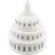 Printed US Capitol Stress Toys