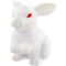 Promo White Rabbit Stress Toys