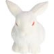 Promo White Rabbit Stress Toys